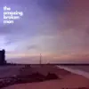 The Amazing Broken Man - One Way of Looking at a Dodobird - Single